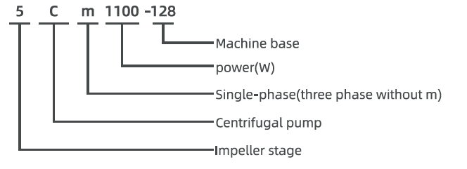 Model description diagram