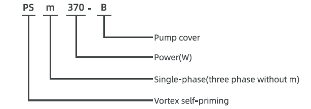 Model Description
