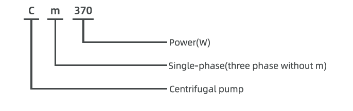 Model description