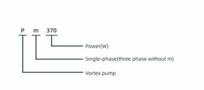 Model Description